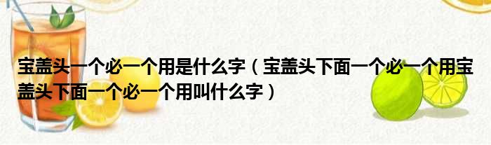 不用是什么字