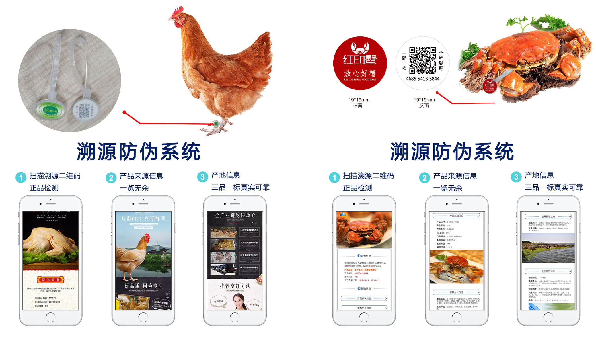 溯源码
