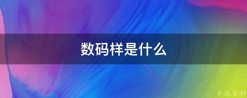 数码是什么