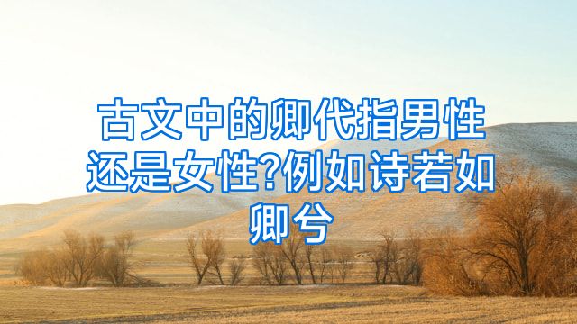 君指男性还是女性