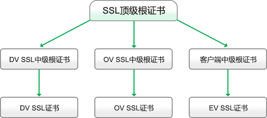 根证书