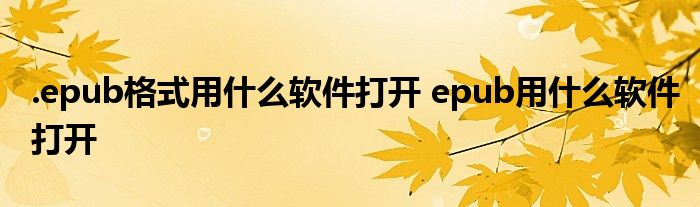 epub格式