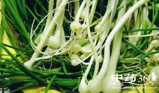 兴渠是什么菜
