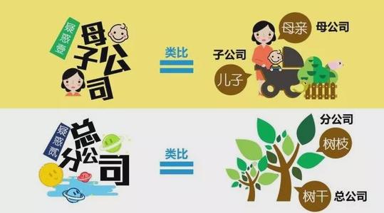分公司子公司