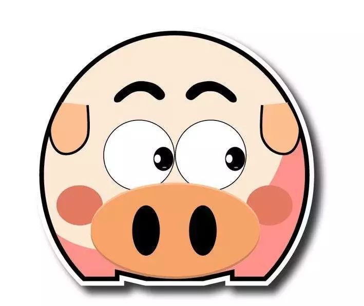 pig是什么意思