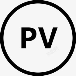 什么是pv