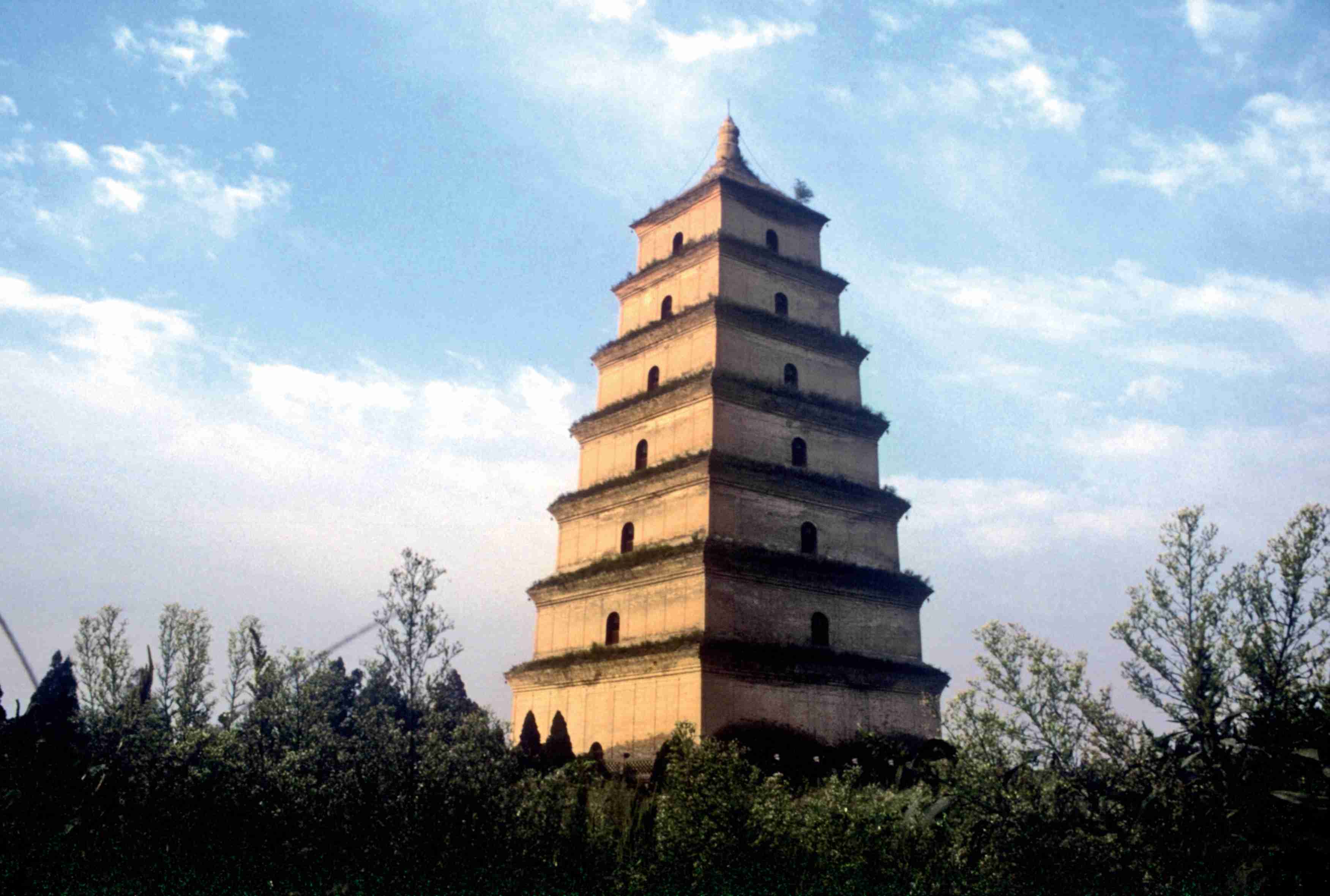 塔式