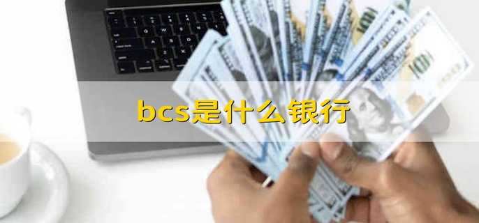 bcs是什么意思