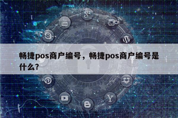 商户编号是什么