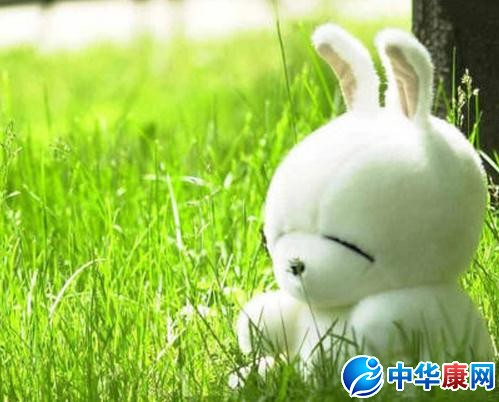 pp是什么手表