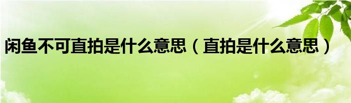 直拍是什么意思
