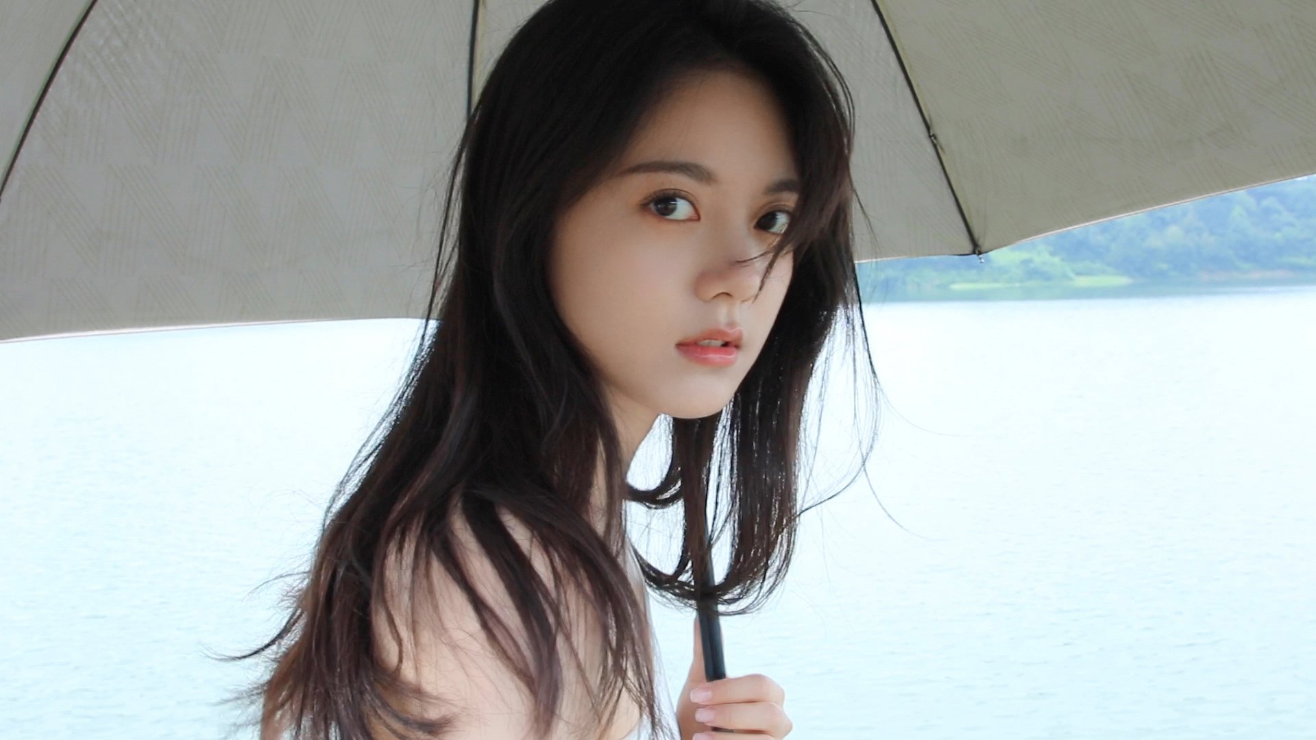 纯净网