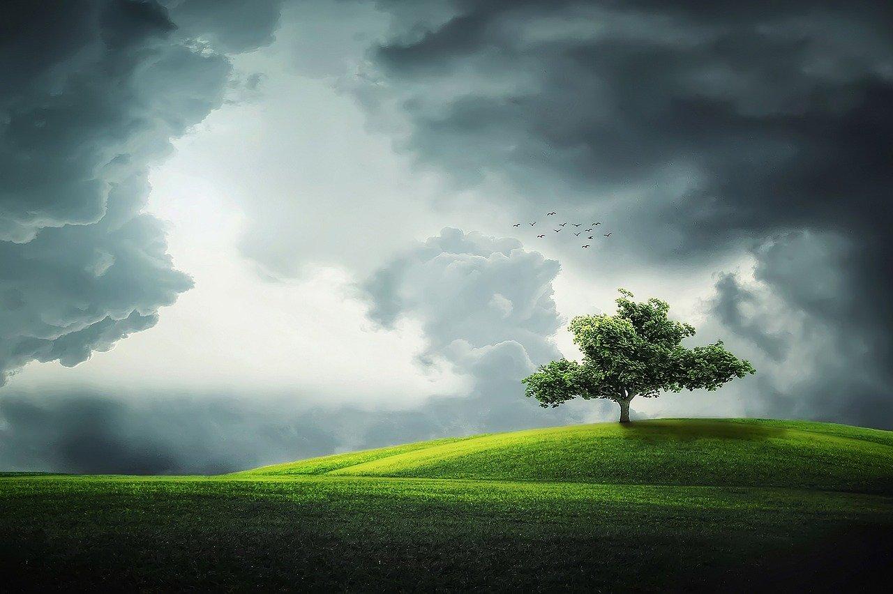 cloudss