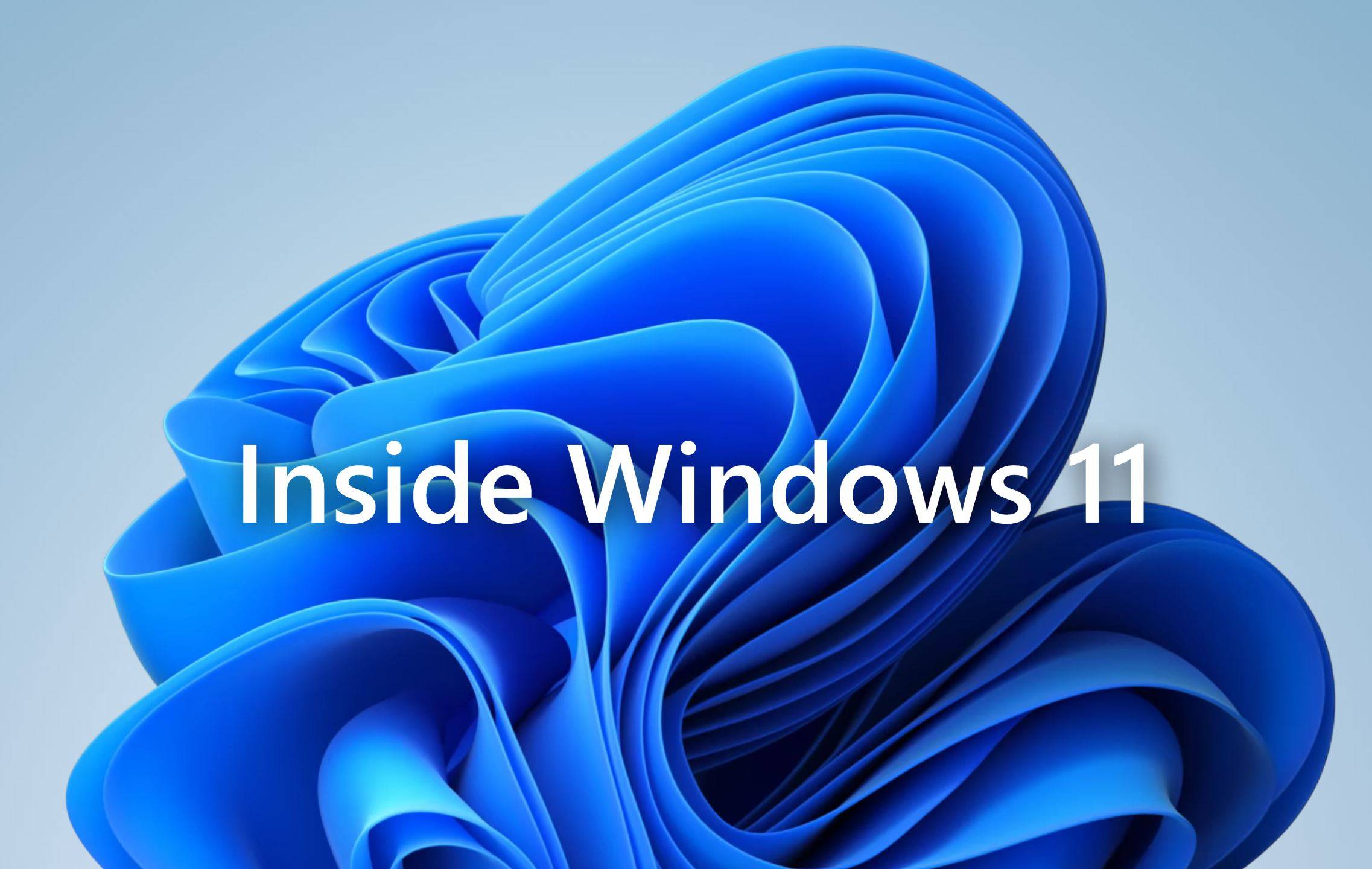 window11