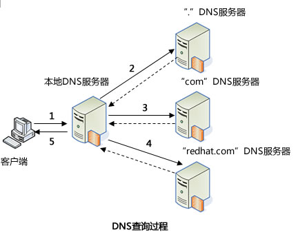 dns查询