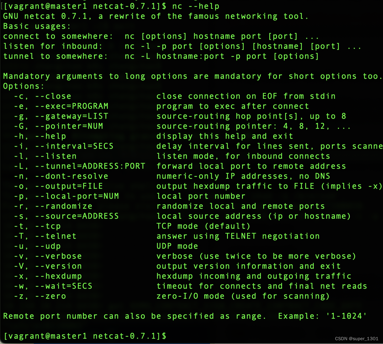 netcat