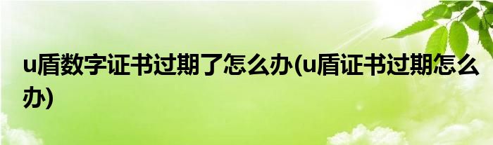 数字证书过期