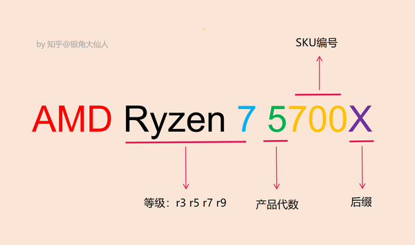 amd中文叫什么